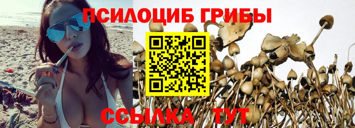 Похвистнево  Псилоцибиновые грибы Cubensis  Вход с VPN 